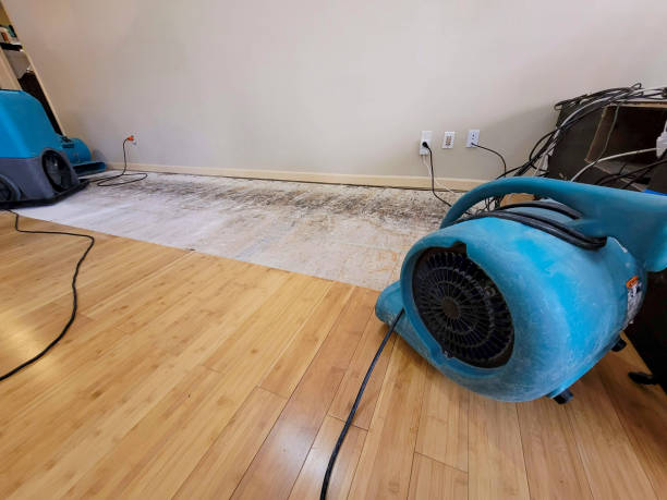 Professional Sewage Cleanup technician working in Papillion, NE